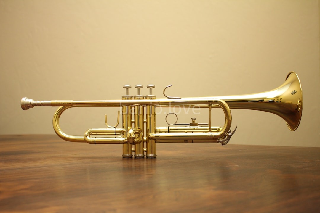 Mastercrafted Banjo